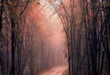 开云体育登录-绿茵烽火再燃！米兰德比今夜引爆亚平宁，战术博弈与巨星闪耀谱写史诗