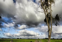 开云下载-夜袭梦剧场！萨拉赫绝影剑出鞘利物浦客场风暴撕裂红魔防区