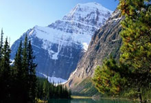 开云体育官方网站-卡尔蒂斯外援状态火爆，助力球队冲击最高荣誉