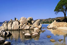 开云体育官方网站-河床教练组强化体能训练，备战关键战