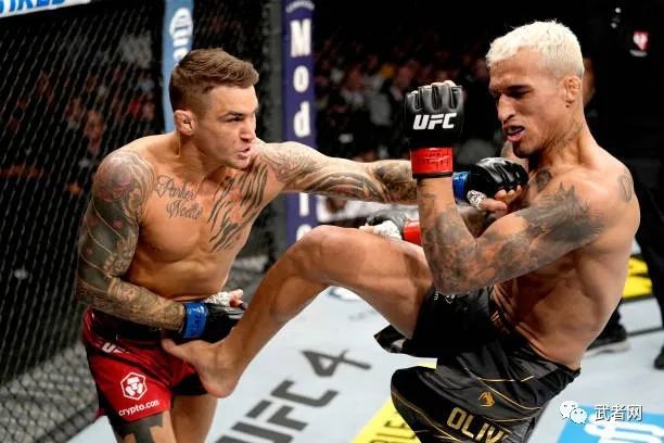 开云下载-里尔卫冕冠军遭遇不敌，全面失败