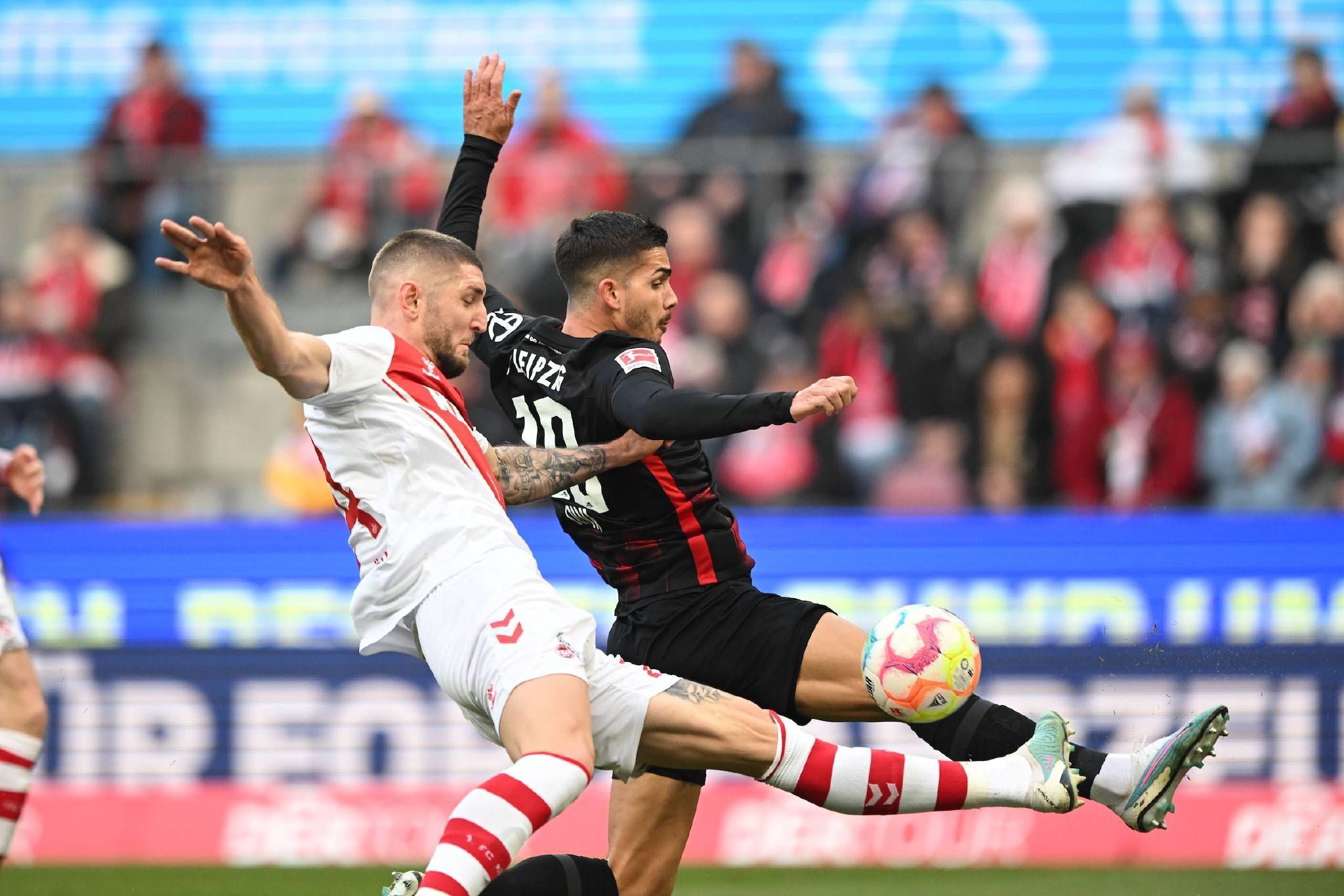 法兰克福主帅看好球队未来发展