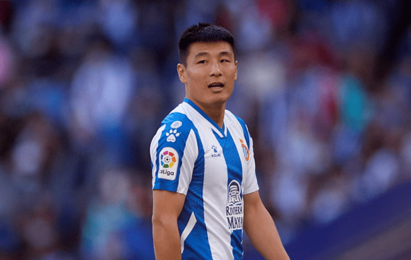 格拉纳达主场负于对手，遭遇困境的简单介绍