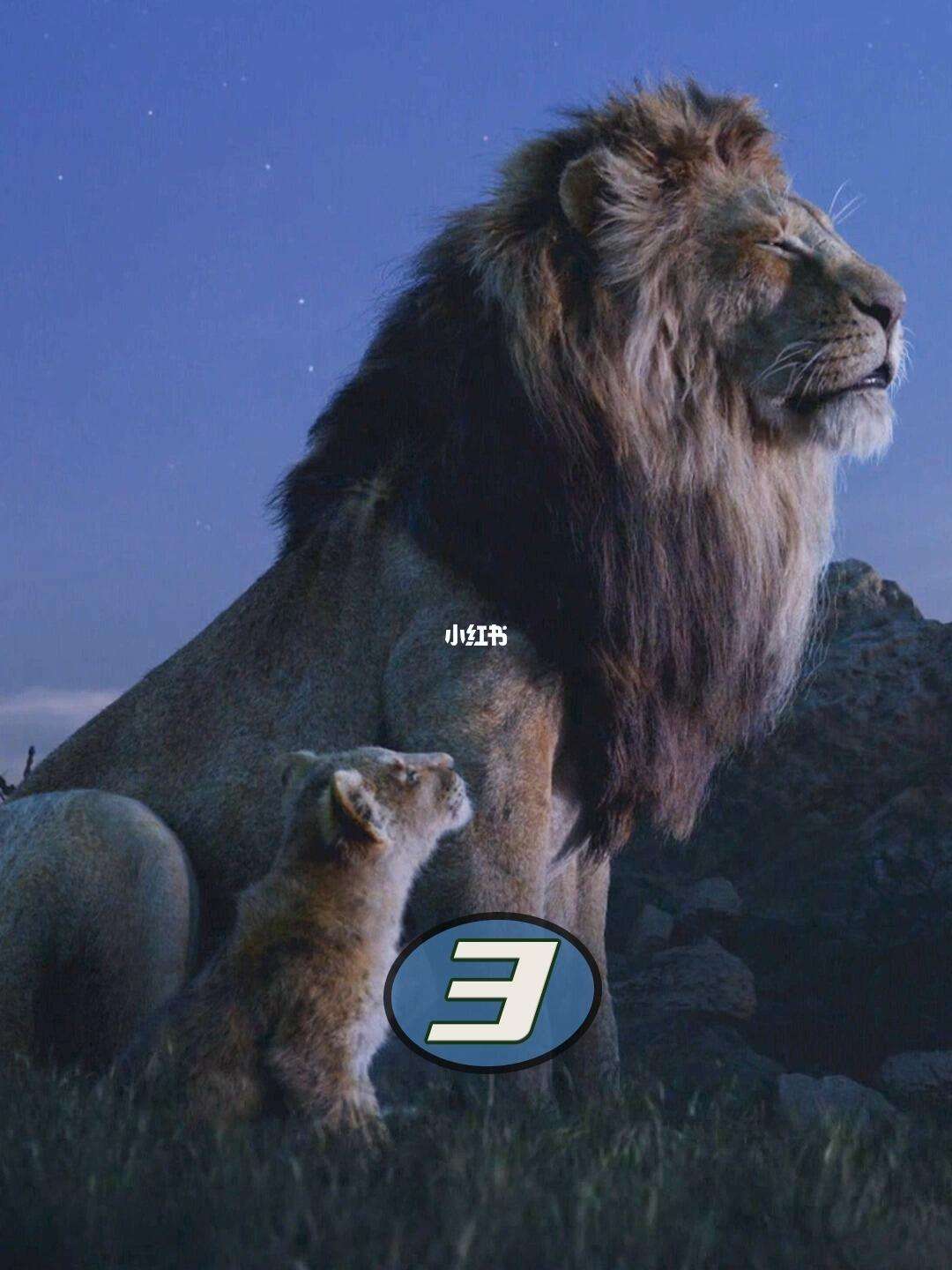 开云体育中国-包含王者归来！球员犹如重振的狮子带领球队夺冠的词条